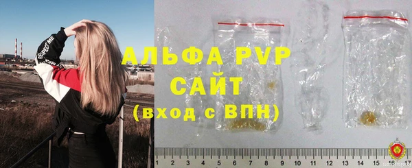 прущие грибы Сафоново