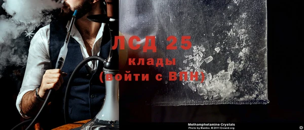 прущие грибы Грязовец